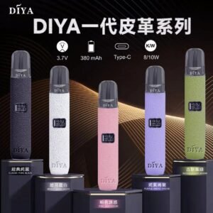 diya叮啞皮革二段式一代主機